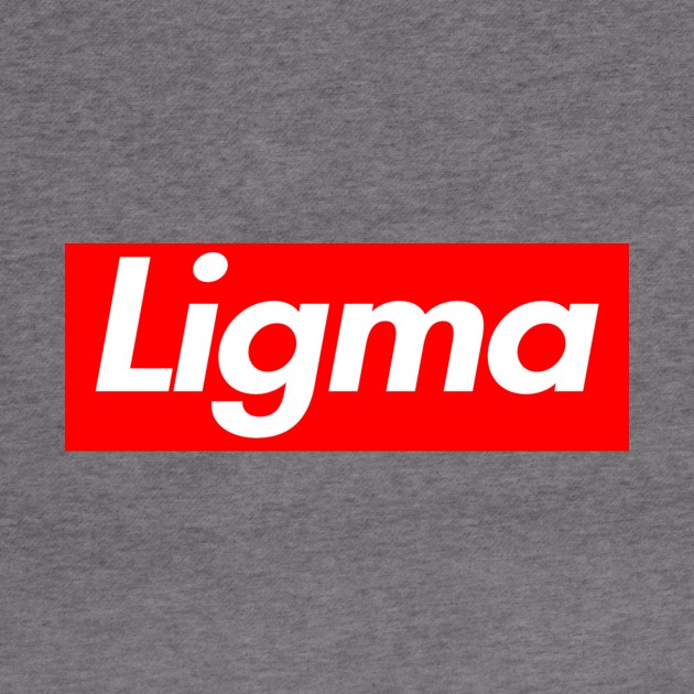 Ligma Box Logo by Shachi